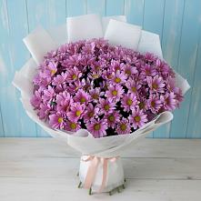 Букет цветов из:  Хризантемы в Дмитриеве