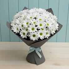 Букет цветов из:  Хризантемы в Дмитриеве