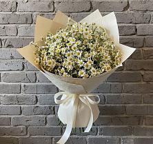 Букет цветов из:  Ромашки #REPLACE_PRED# Дмитриеве