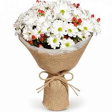 Букет цветов из:  Хризантемы #REPLACE_PRED# Дмитриеве