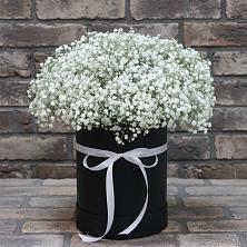 Цветочная композиция из Гипсофила в шляпной коробке в Дмитриеве